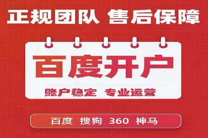 某企业通过百度SEM实现ROI最大化的案例